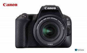 cannon dslr