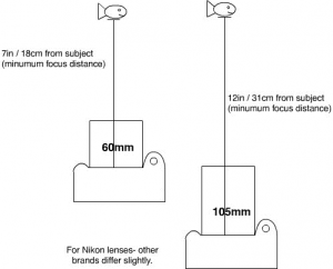 Minimum Focus Distance