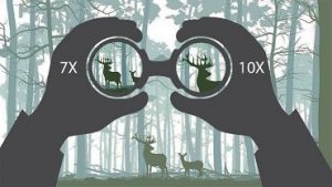 Magnification