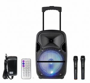 Qualimate 12 Inch Portable Karaoke