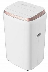 Lloyd 1 Ton Portable AC
