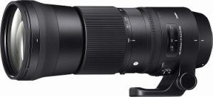 Sigma 150-600 mm lens